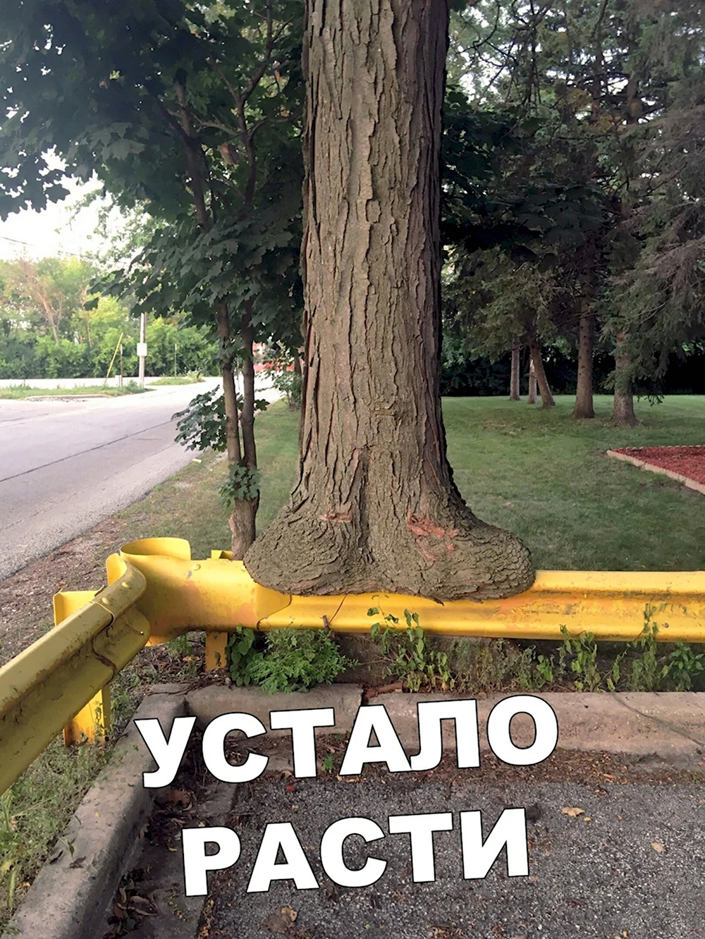 Устал прикол