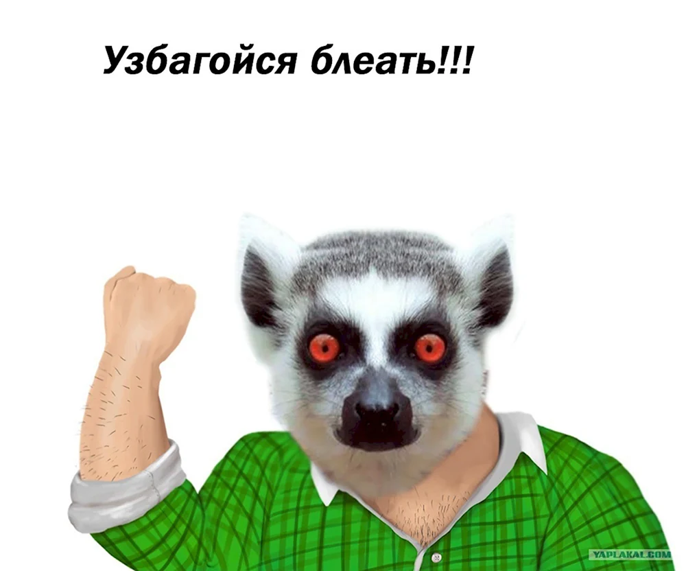 Узбагойся