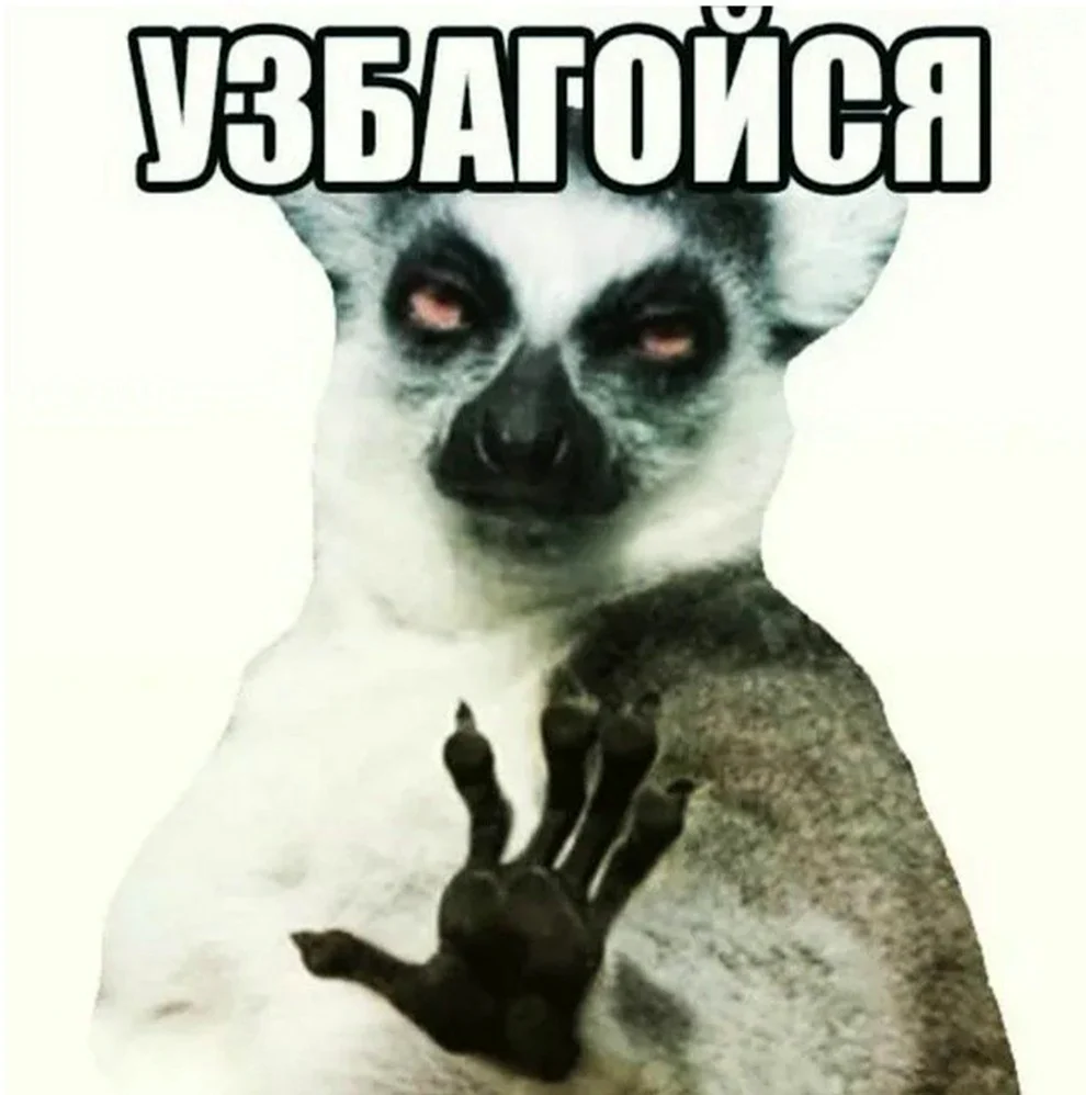 Узбагойся