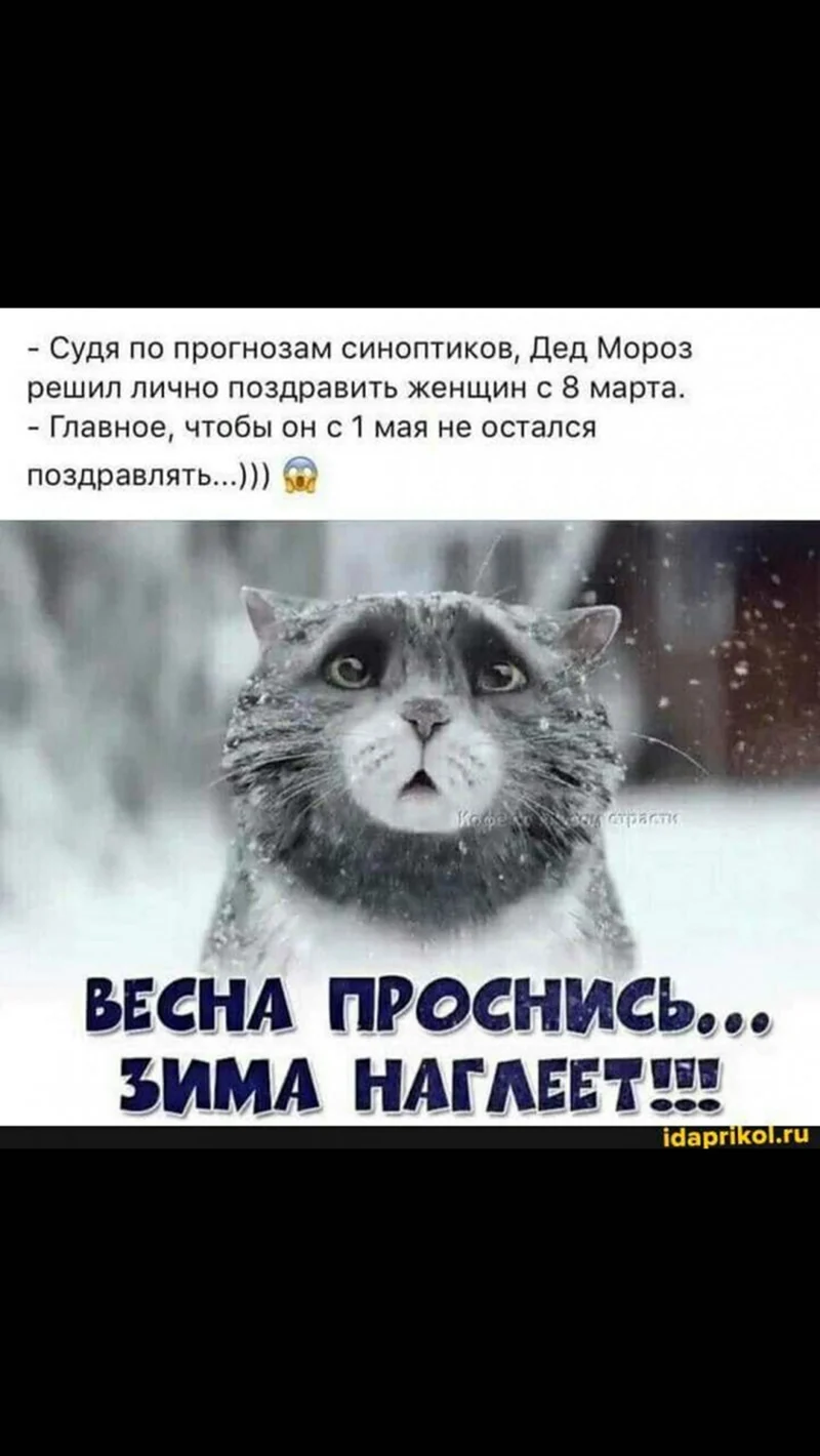 Весна Проснись зима наглеет