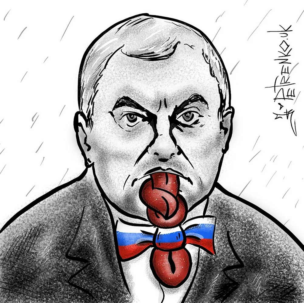 Вячеслав Володин карикатура