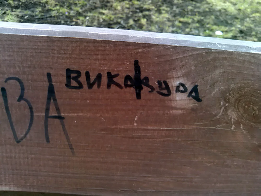 Вика идиотка