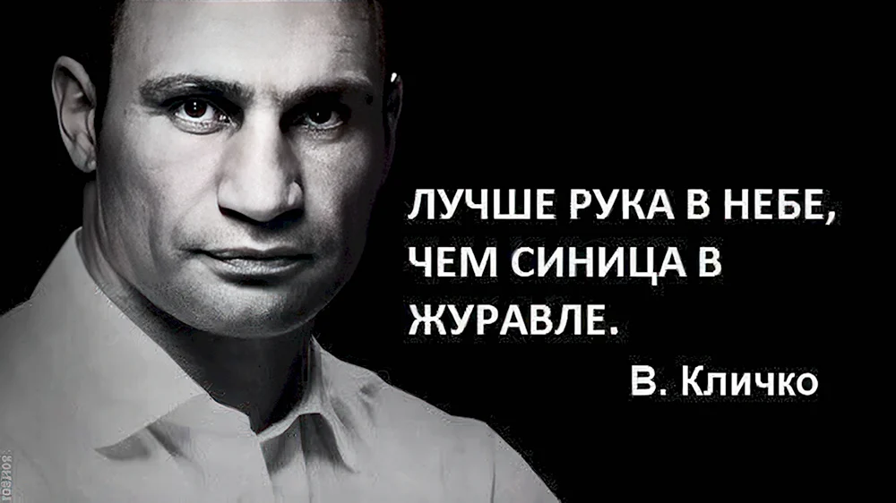 Виталий Кличко перлы