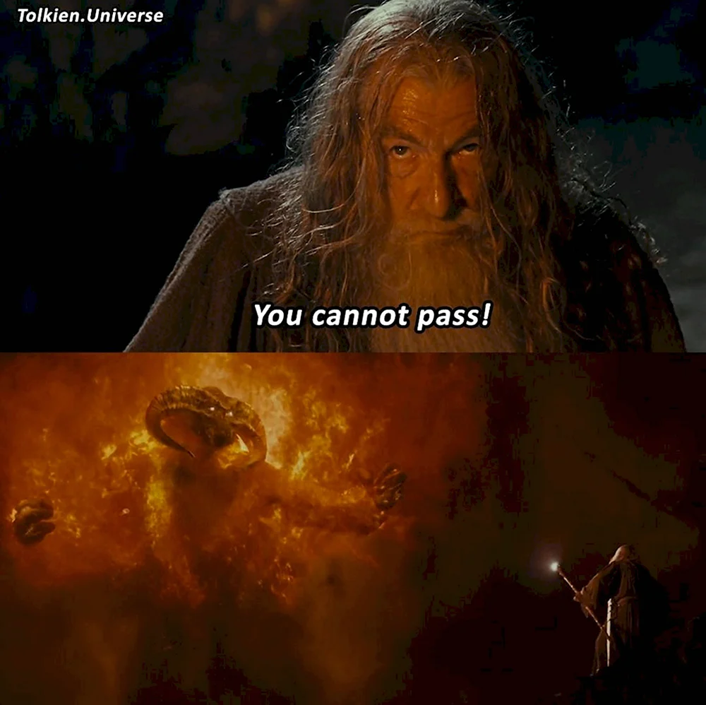 Властелин колец you shall not Pass