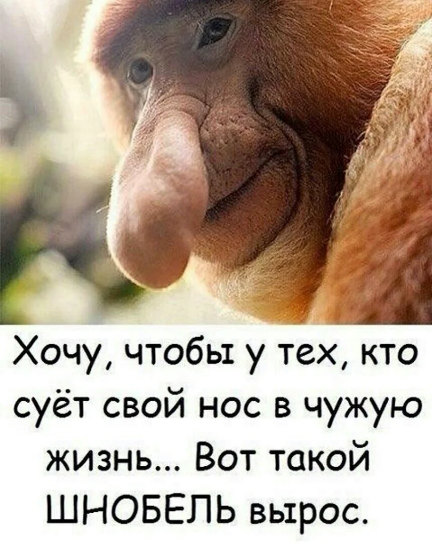 Забавные статусы