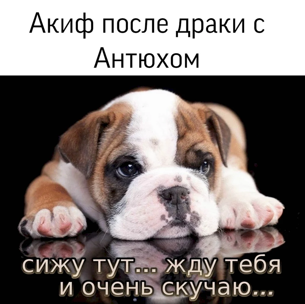 Жду скучаю