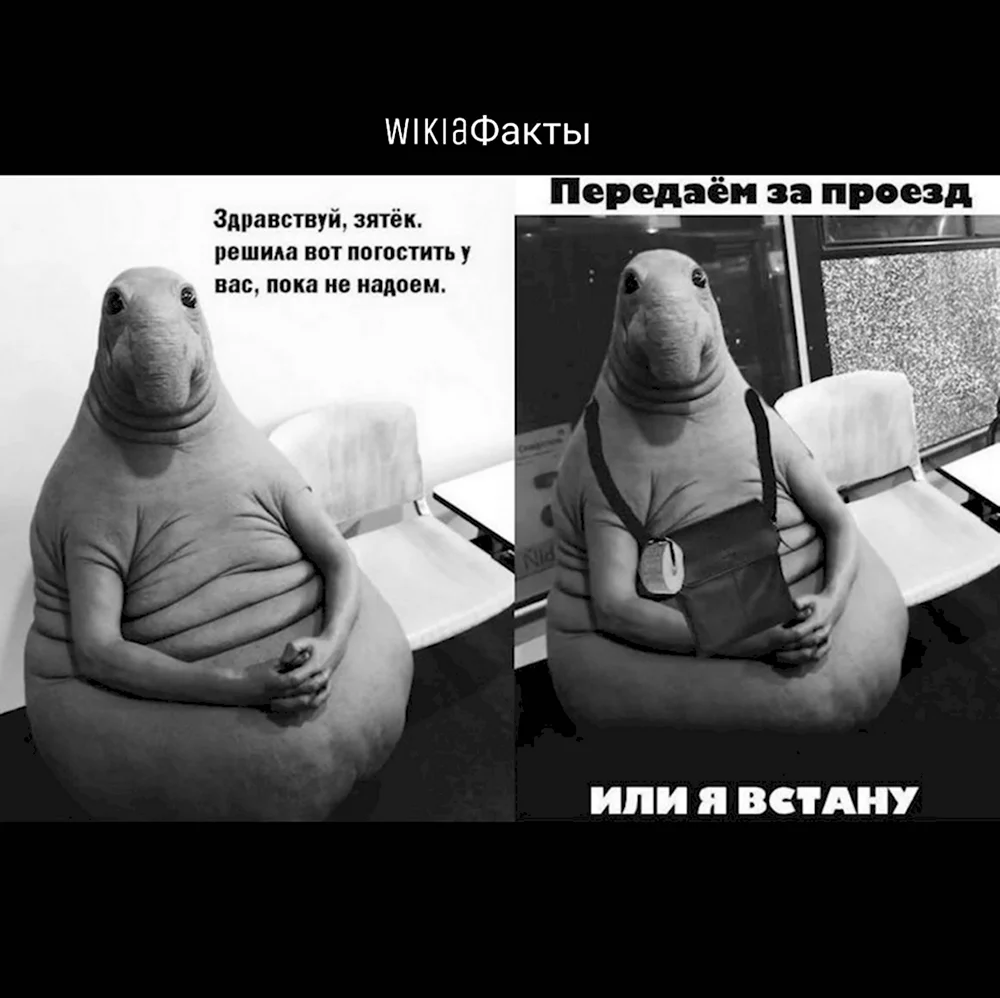 Ждун откуда взялся