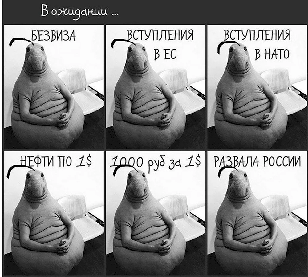 Ждун приколы