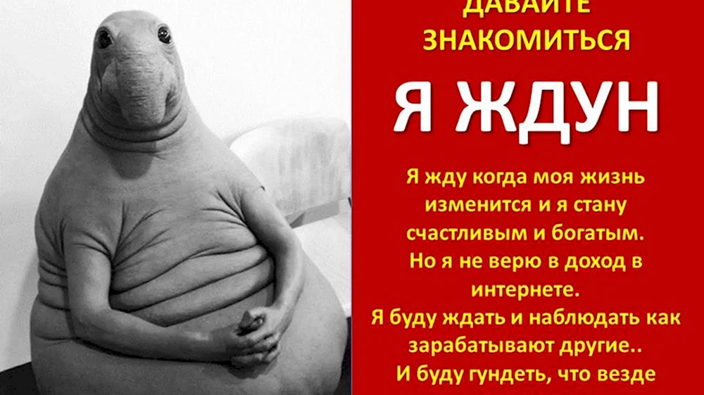 Ждун с надписью