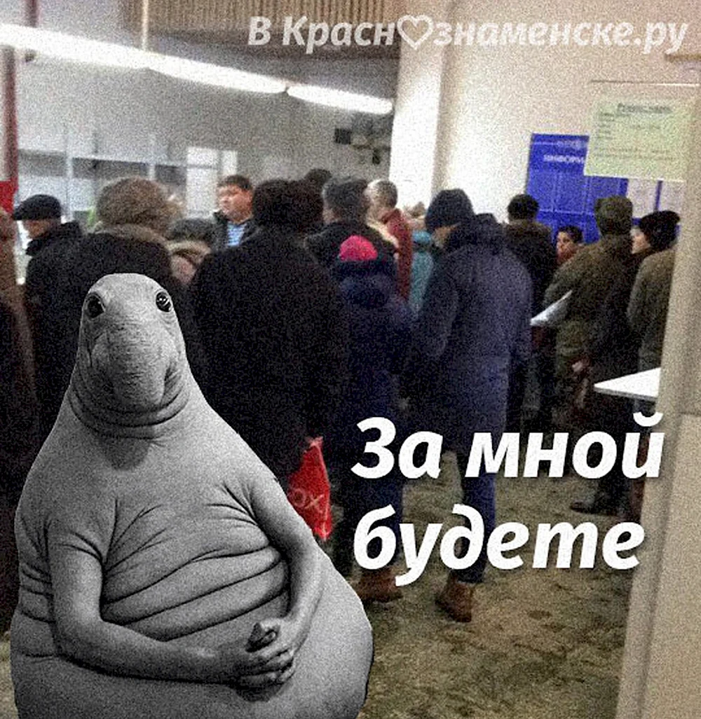 Ждун в очереди