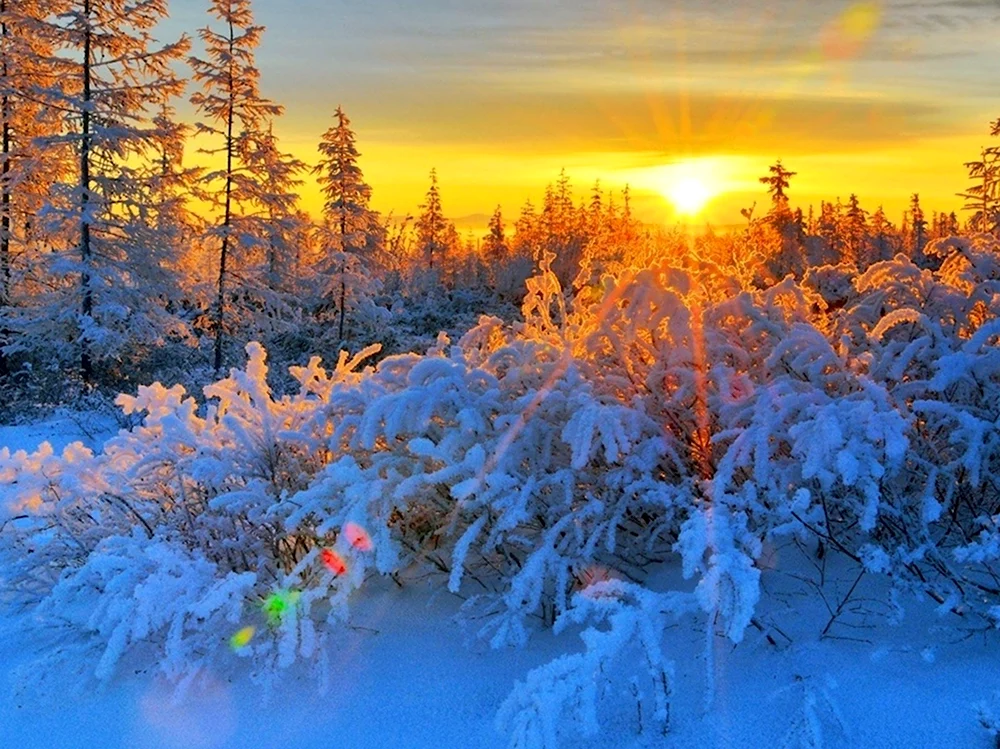 Декабрь солнце. Зимний пейзаж. Зимнее утро. Морозное солнечное утро. Зимнее солнце.