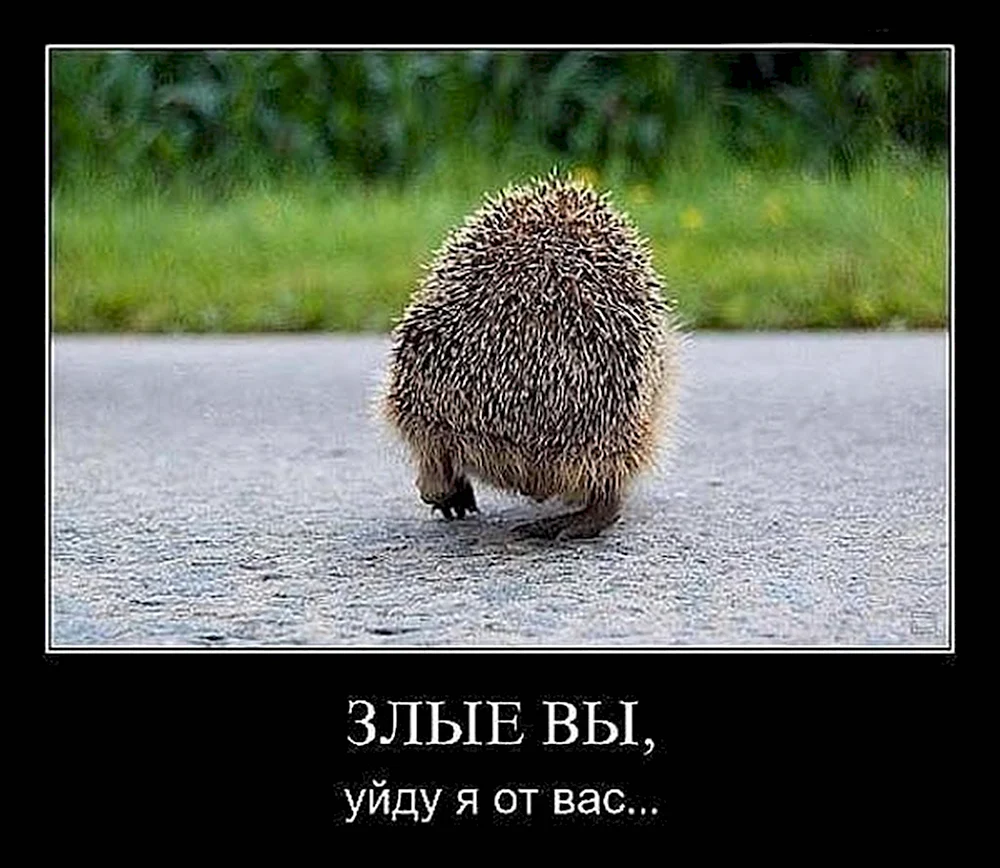 Злые вы уйду я от вас