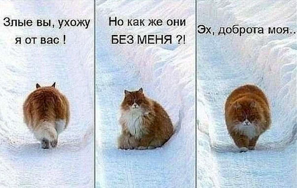 Злые вы уйду я от вас