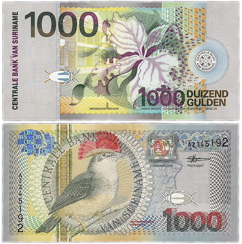 100 Гульденов Суринам 2000