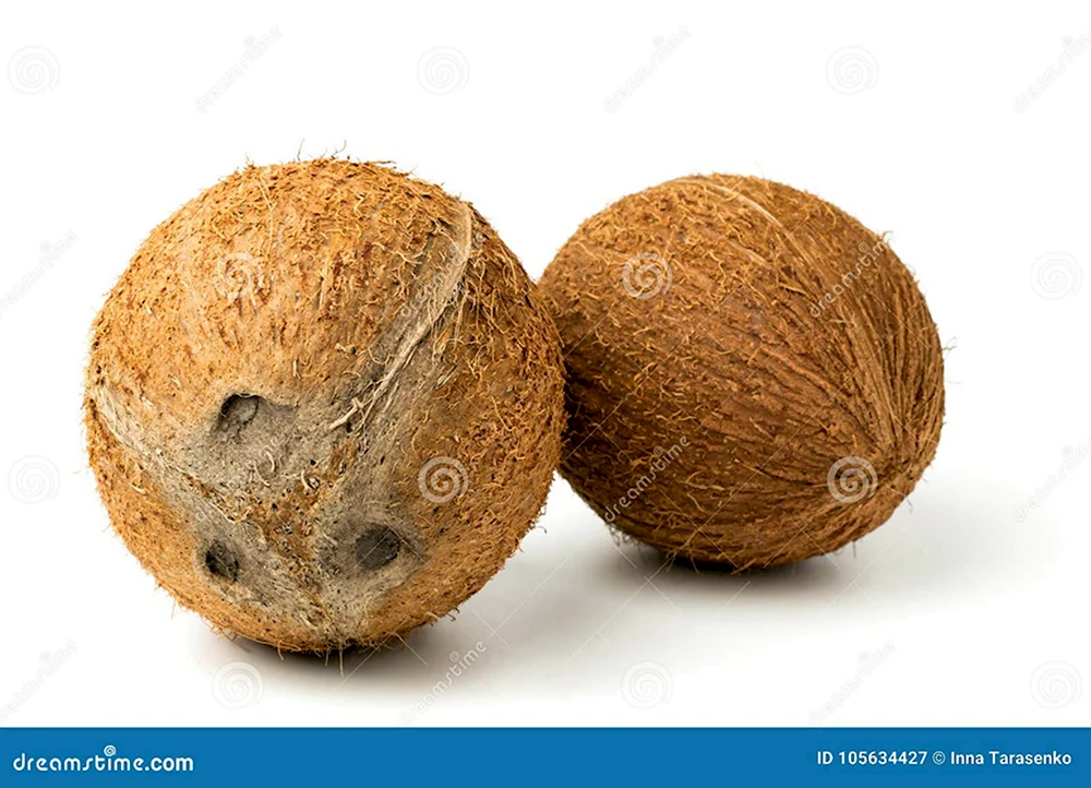 2 Сентября день кокоса
