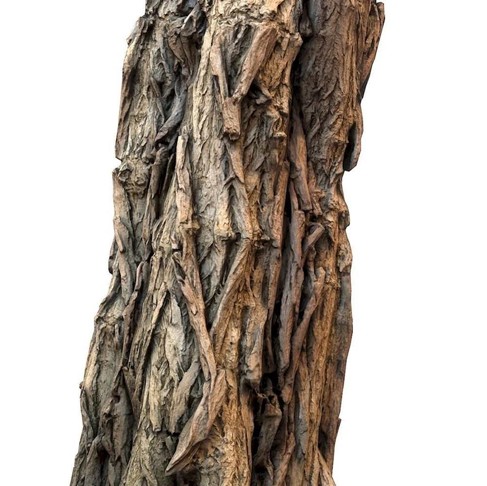 3d Tree Bark Kitbash
