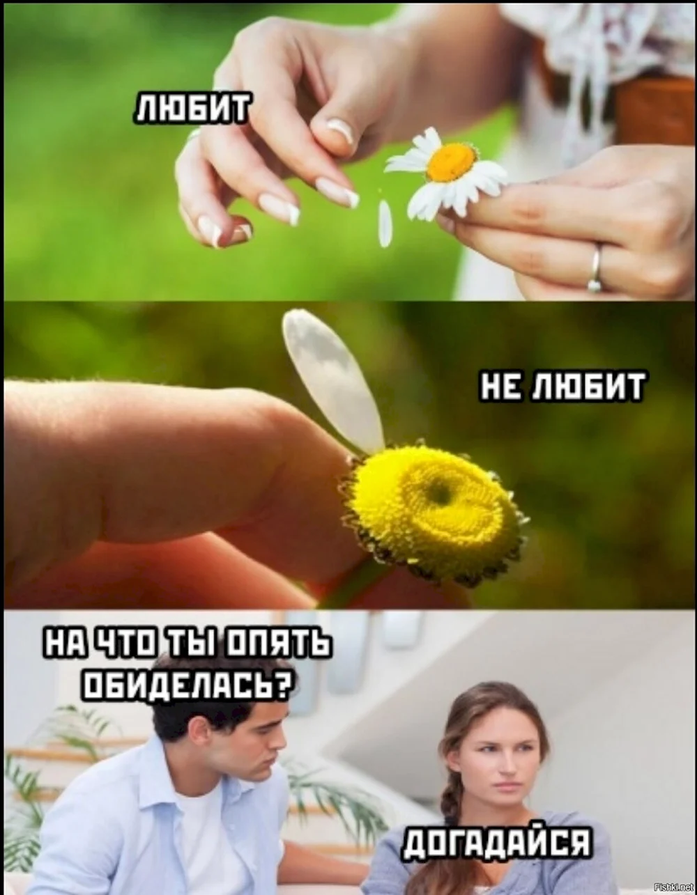 Аче всмысле