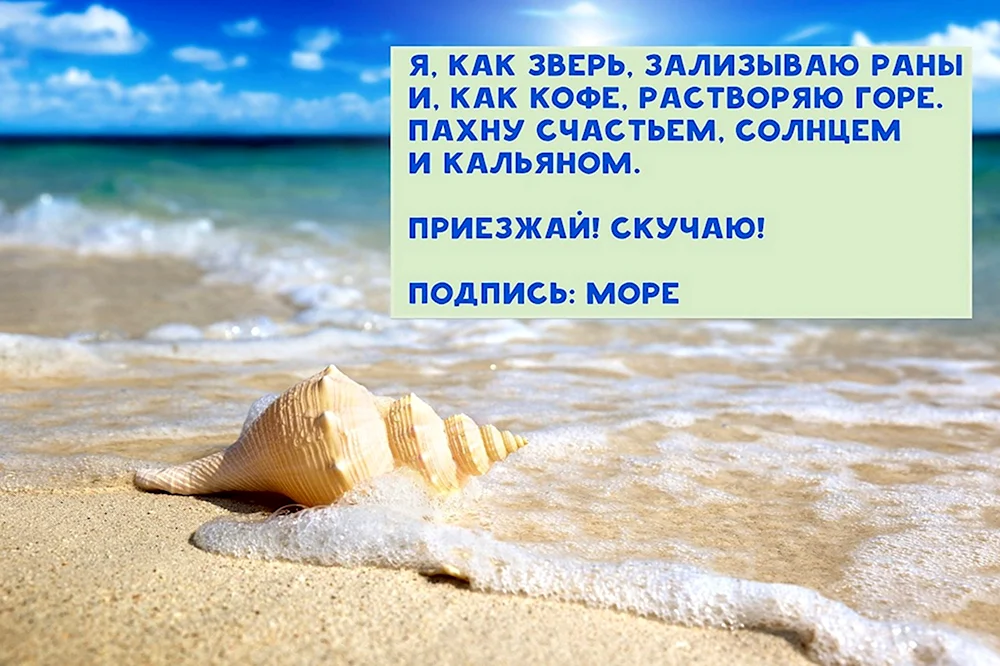 Афоризмы про море