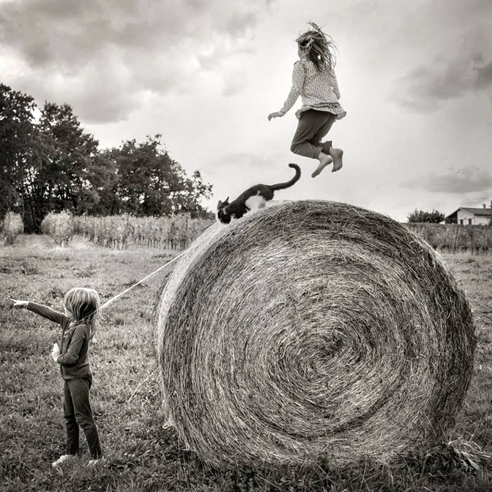 Alain Laboile