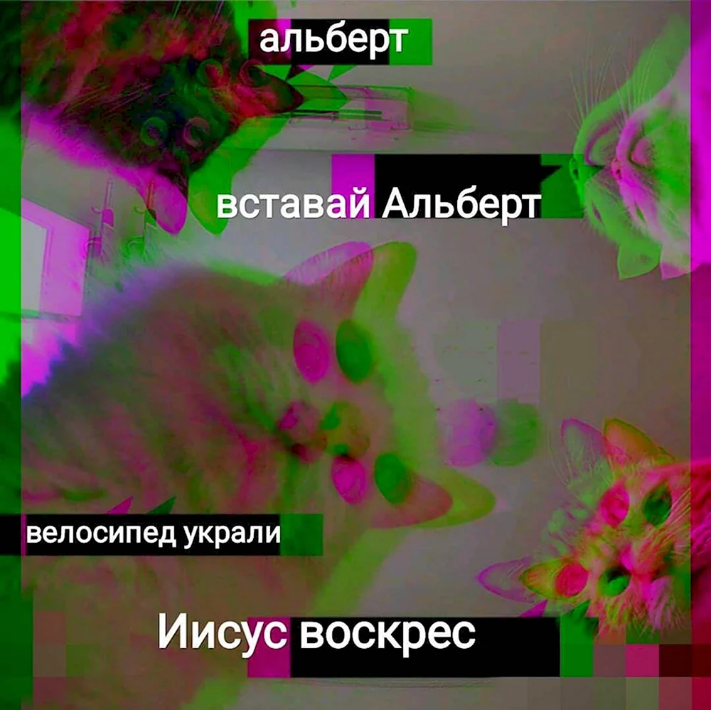 Альберт Проснись