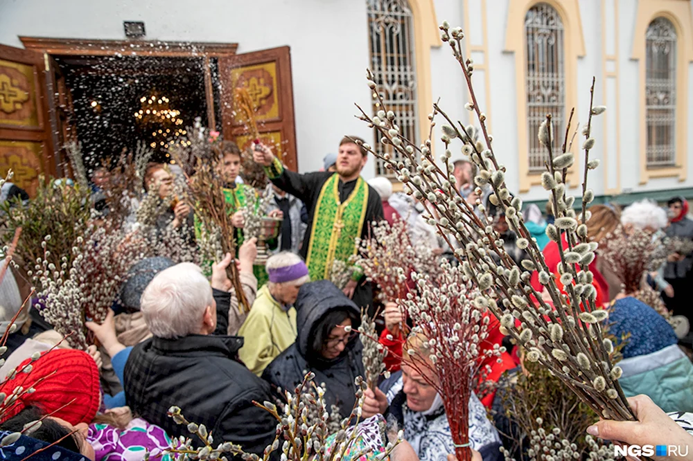 Верба на Вербное воскресенье. С праздником Вербное воскресенье. Пальмовые ветви на Вербное воскресенье. Вербное воскресенье в Иерусалиме.