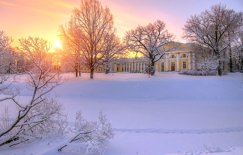 Александровский дворец Царское село зима