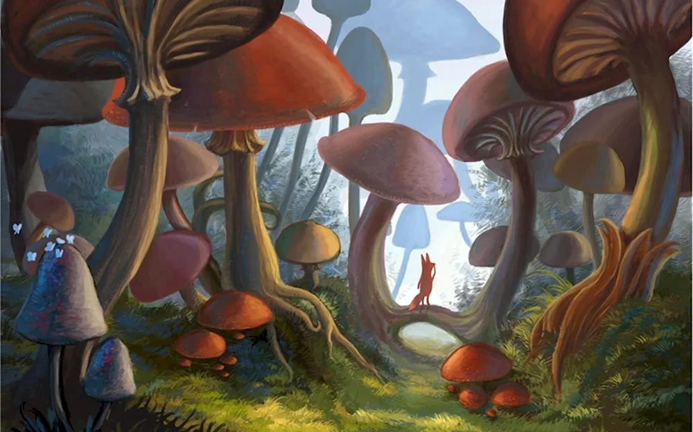 Алиса и галлюциногенный гриб