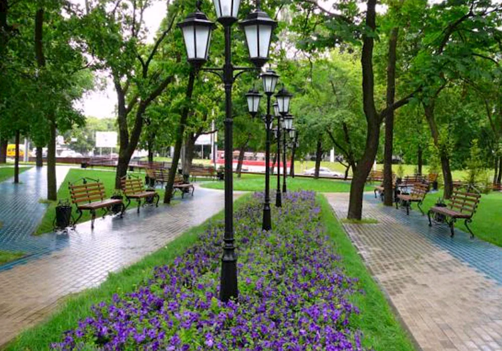 Аллея парк город Воронеж