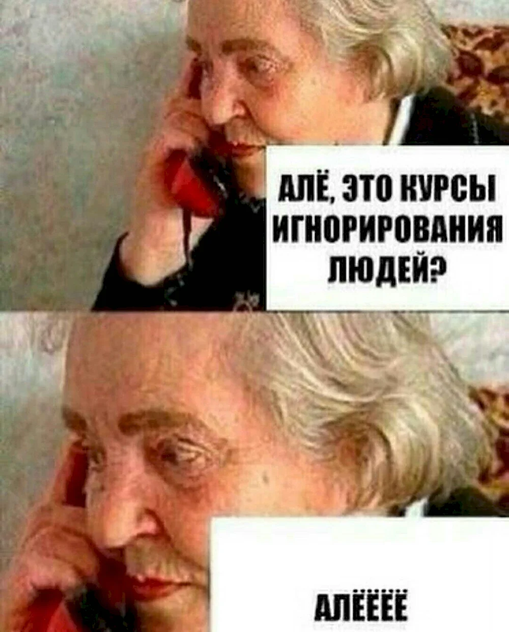 Алло это курсы игнорирования людей