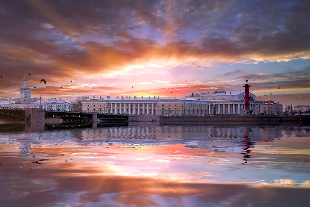 Андрей Михайлов фотограф Санкт-Петербург