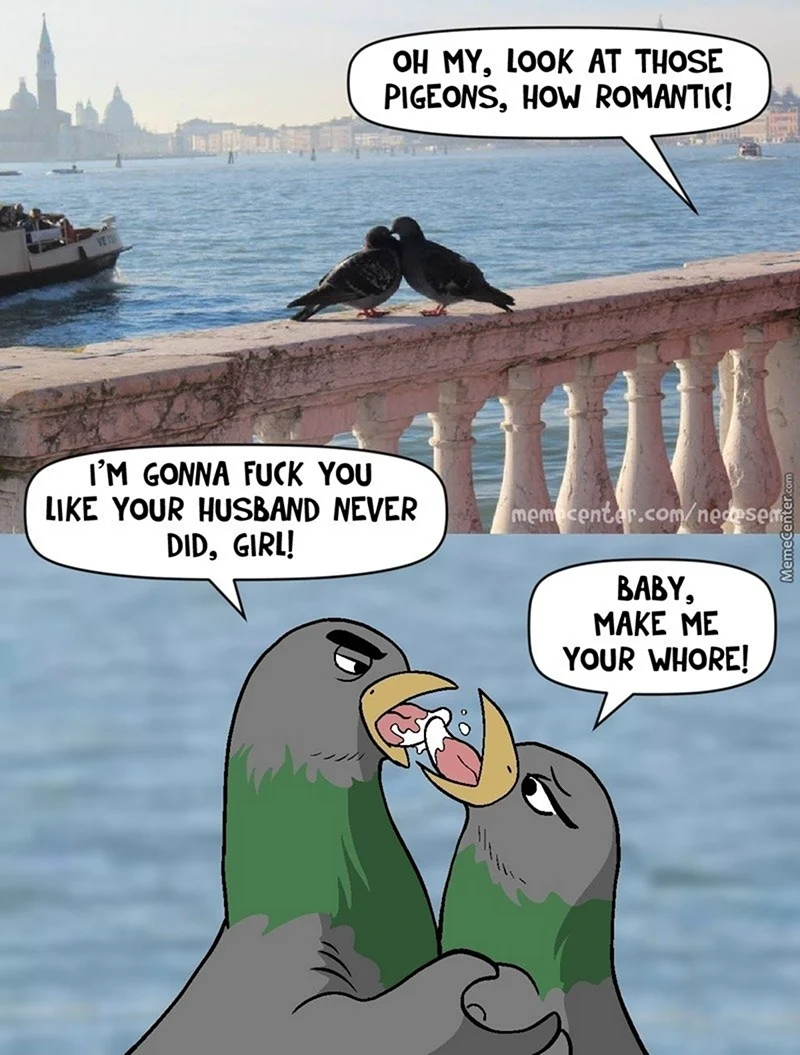 Анекдоты про голубей