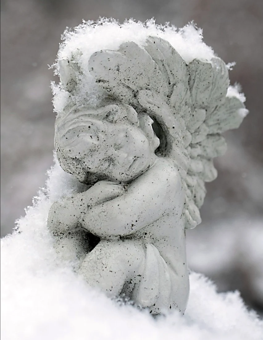 Ангел на снегу