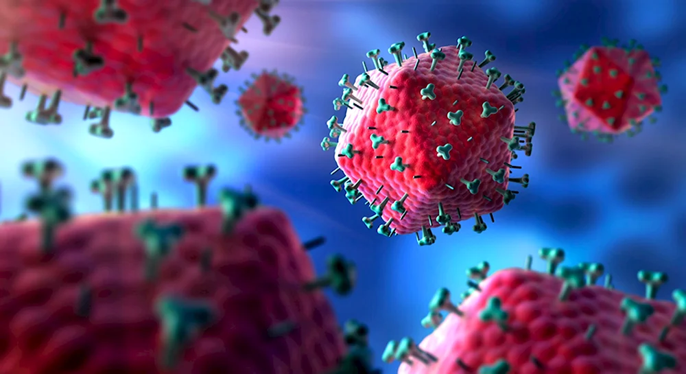 Антитела к ВИЧ под микроскопом