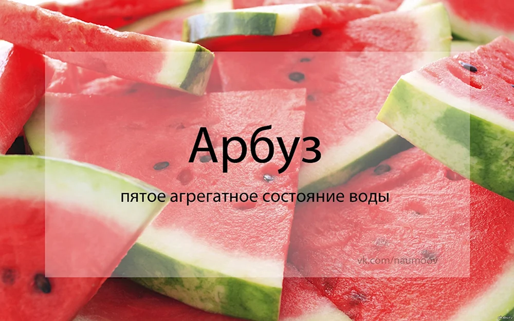 Арбузы с надписью