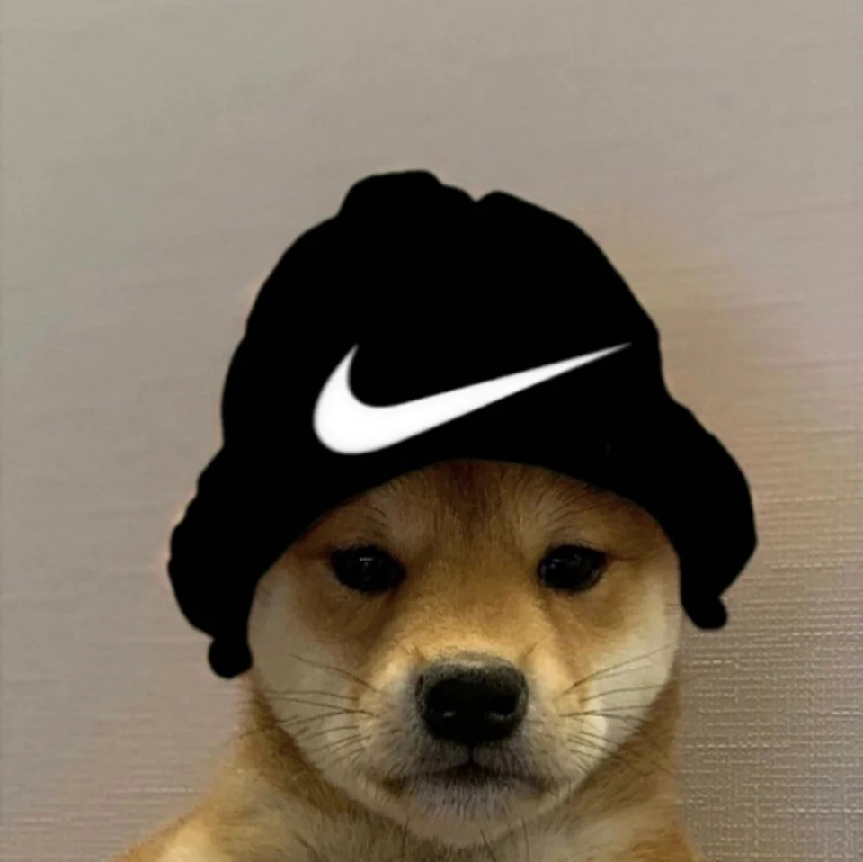 Ава собака в шапке