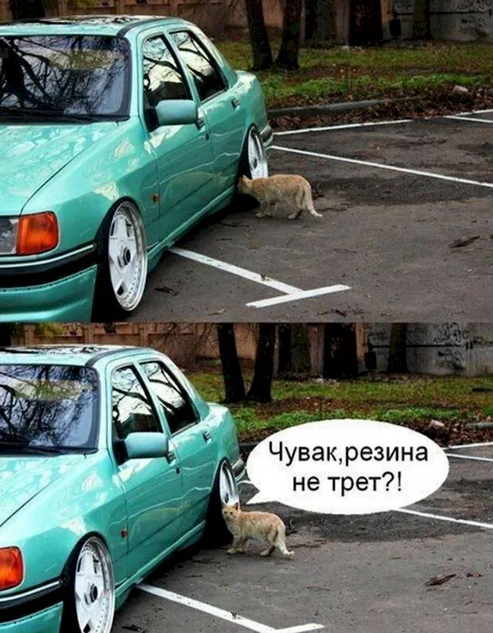 Автомобиль юмор