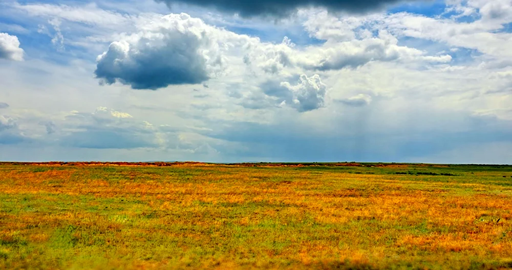 Барабинская степь