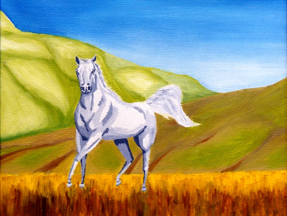 Башкирский конь Акбузат