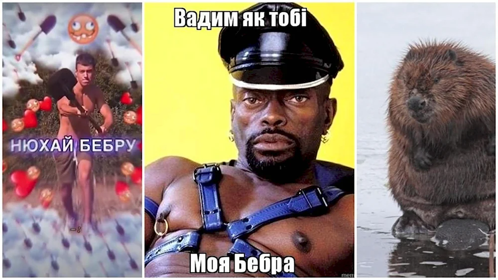 Бэбра