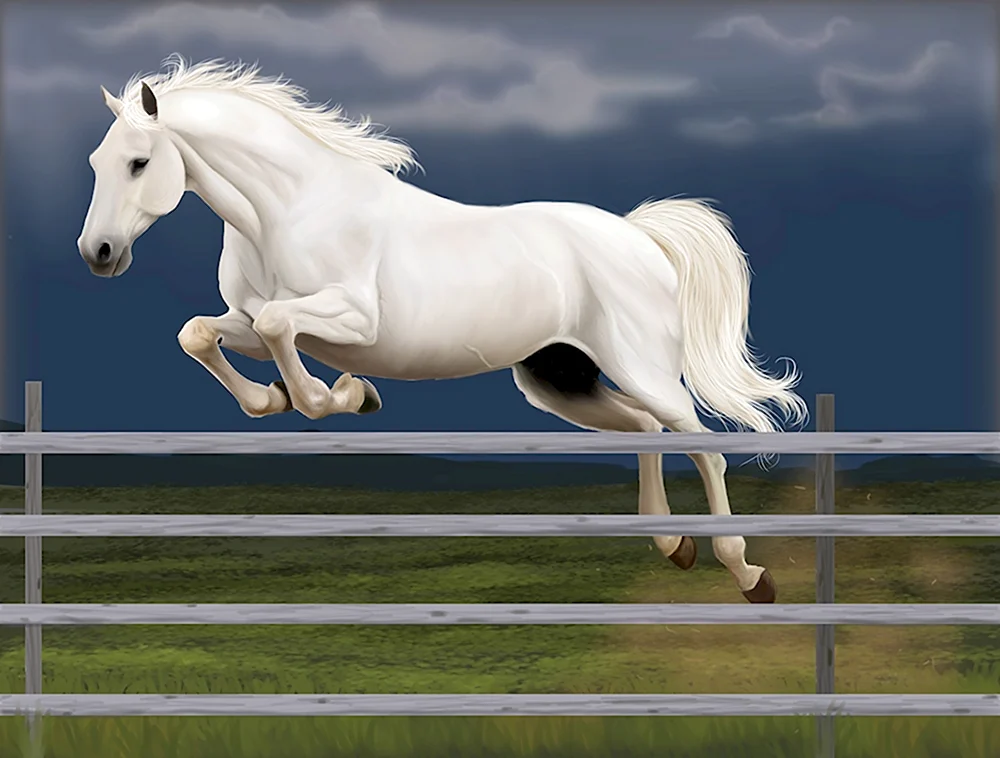 Белая лошадь прыгает