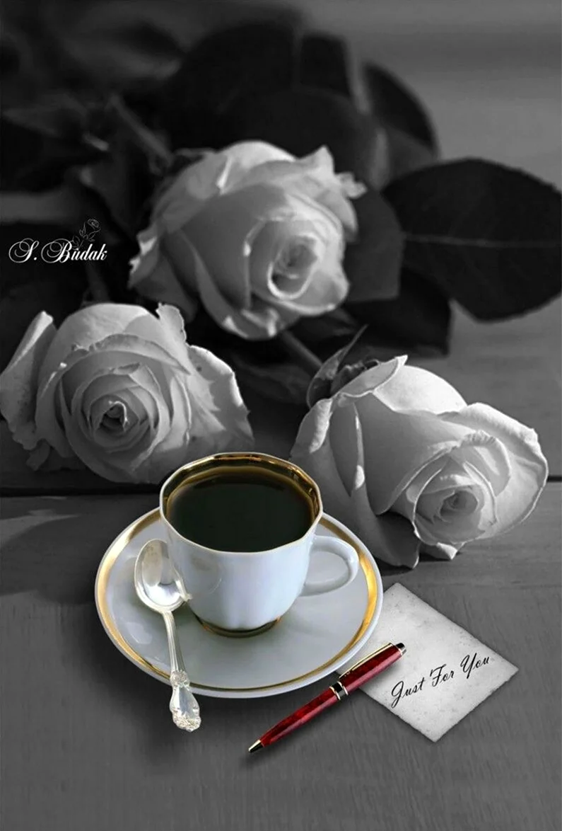 Белая роза с чашкой кофе