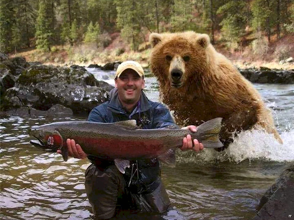 Big Fish Bears