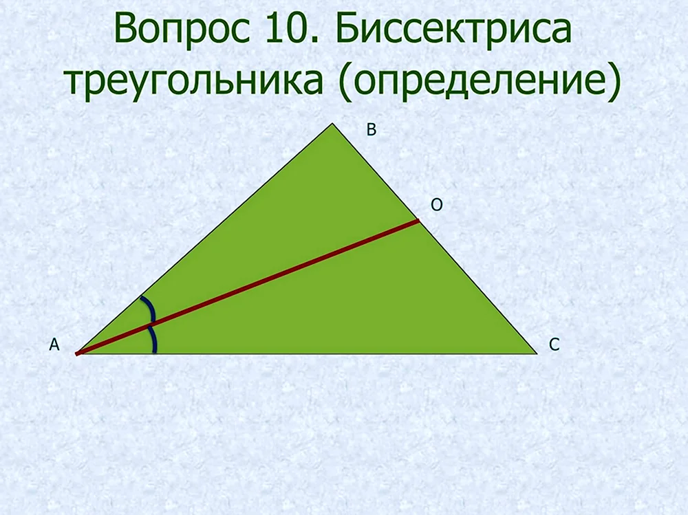 Биссектриса