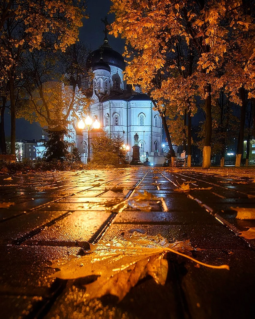 Благовещенский собор Воронеж осень