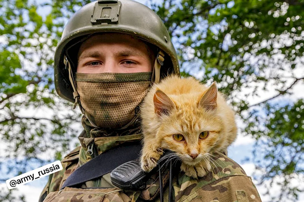 Боевые коты Донбасса