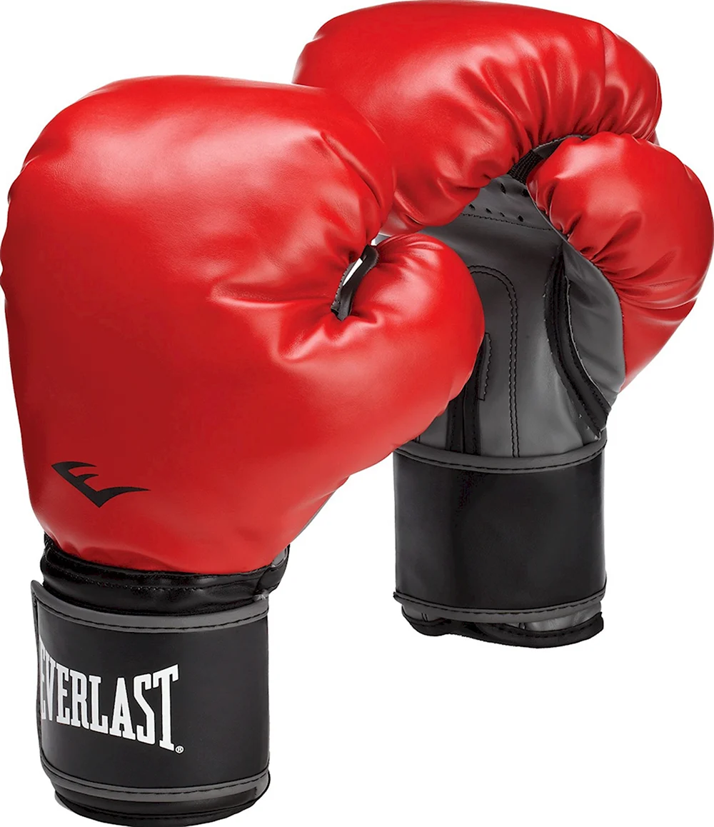 Какие перчатки боксерские хорошие. Everlast 12 oz. Everlast перчатки боксерские 12. Боксерские перчатки 12 oz. Боксерские перчатки Reebok 12oz.