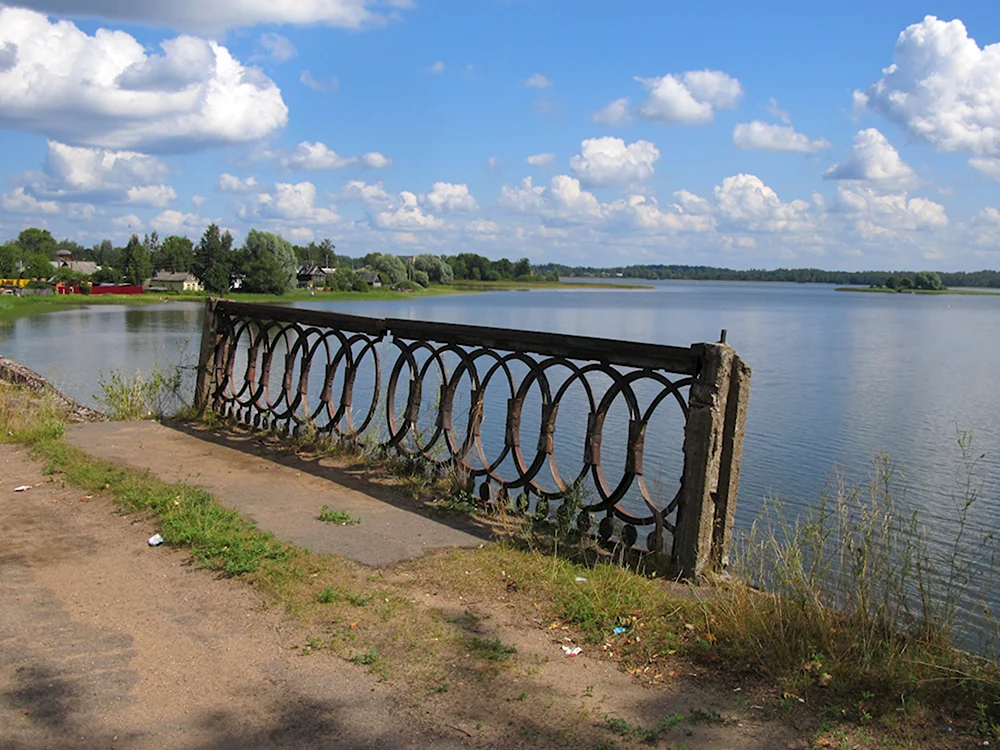 Бологое висячий мост