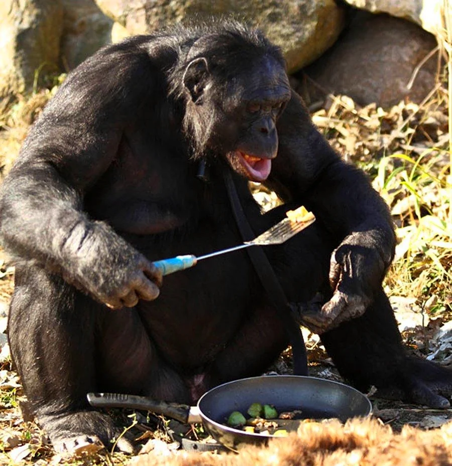 Бонобо Канзи