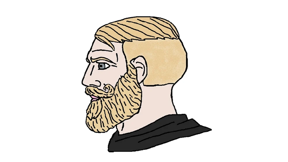 Бородатый мужик Мем