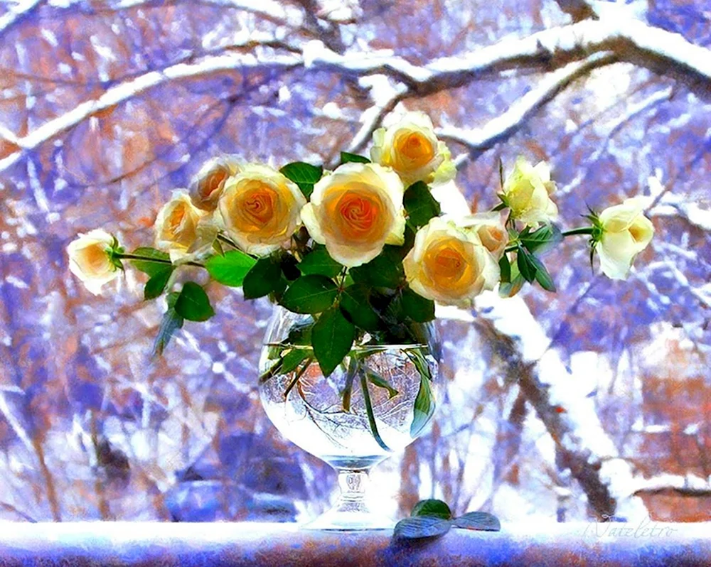 Букет белых роз на снегу